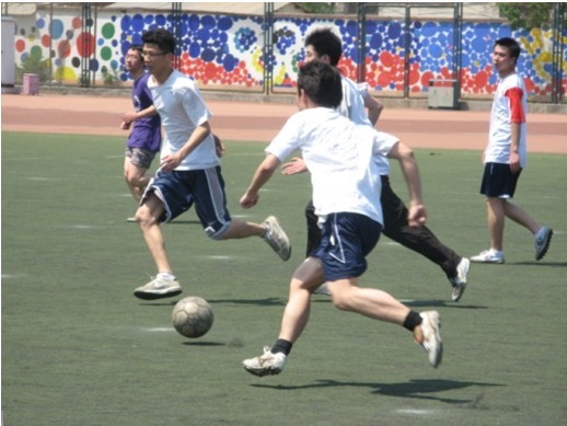 阵容